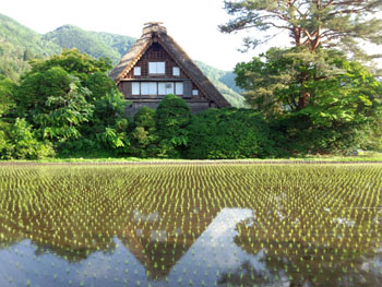 国重文 和田家 田植え