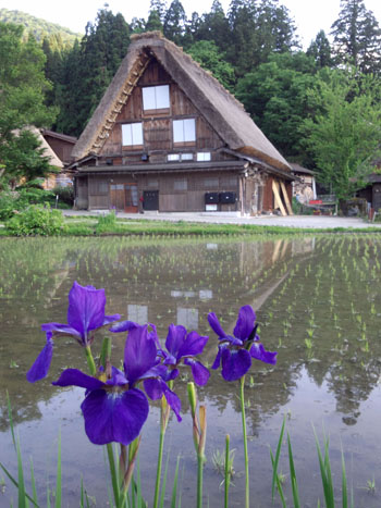 明善寺 周辺 散策