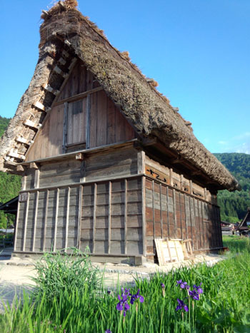 和田家 周辺 散策