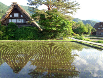 梅雨！？ 晴れ続く白川郷?