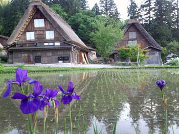 梅雨！？ 晴れ続く白川郷?