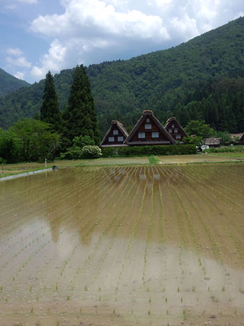 梅雨！？ 晴れ続く白川郷?