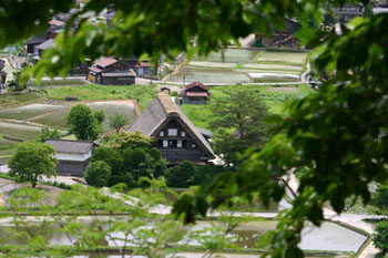 梅雨 雨季ウキ 白川郷?