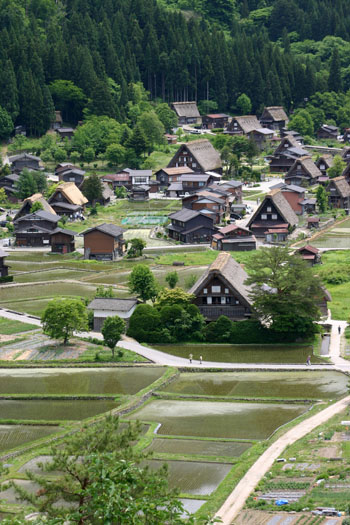 梅雨 雨季ウキ 白川郷?