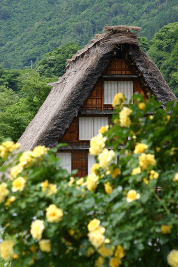 梅雨 雨季ウキ 白川郷?
