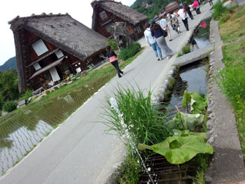 梅雨の合間を縫って 白川郷へ?