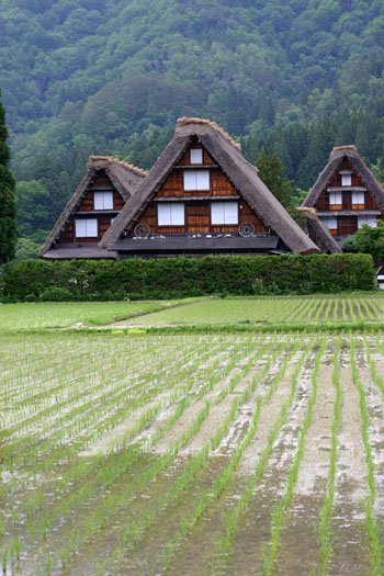 梅雨の合間を縫って 白川郷へ?