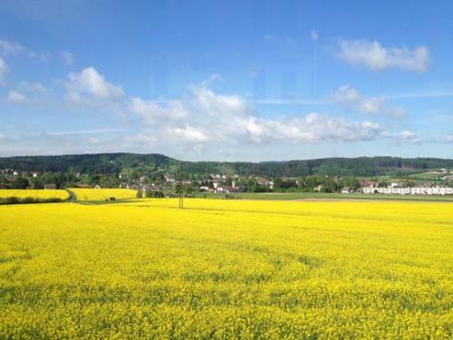 世界の車窓から