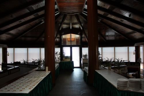 ハファ、ドルフィン