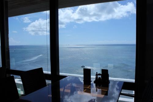 ハファ、ドルフィン2