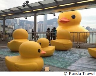 巨大アヒル「ラバーダック」登場３