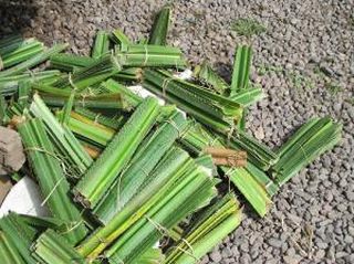 トゥガナン村の儀式「ムカレカレ」3