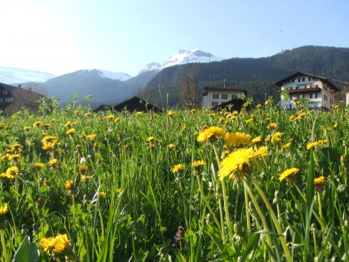 グリンデルワルト