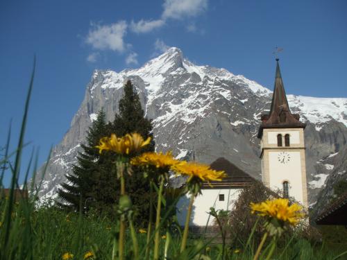 クライネシャイデリック