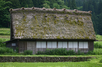 緑にそまる自然を背景に?