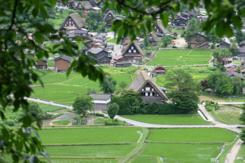 7月4日 世界遺産白川郷合掌集落 ?