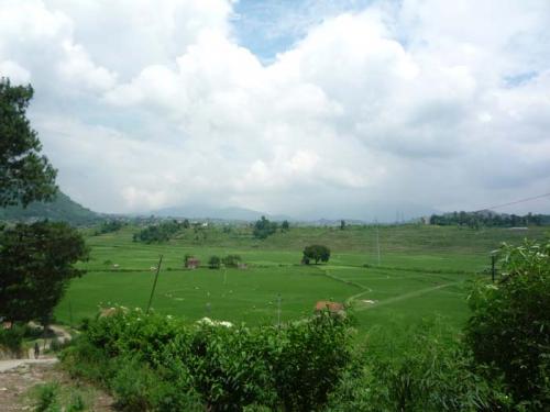 Khokana段々田んぼ３