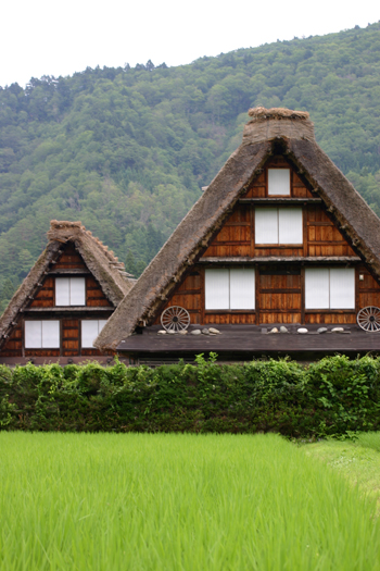 待ち遠しいのは『夏休み』! ?