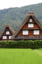 待ち遠しいのは『夏休み』！ ?