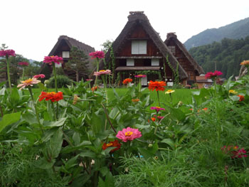 今年の夏休み／お盆休みは、白川郷で?