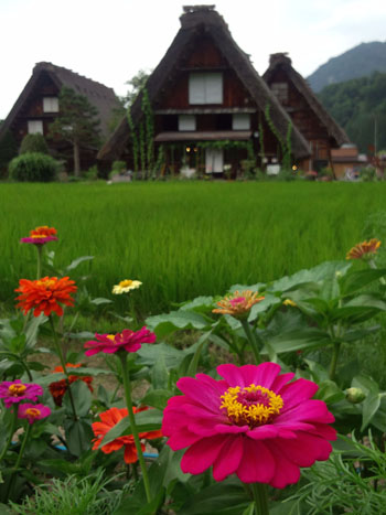 今年の夏休み／お盆休みは、白川郷で?