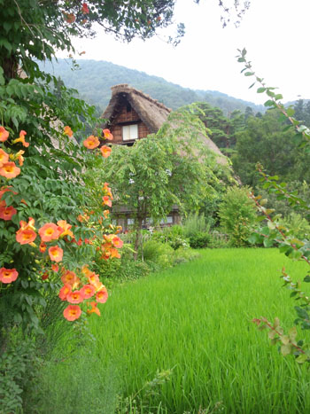 今年の夏休み／お盆休みは、白川郷で?