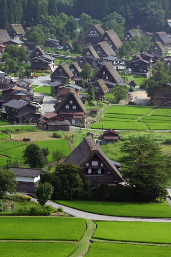 【お盆】夏の世界遺産 白川郷を楽しむ ?