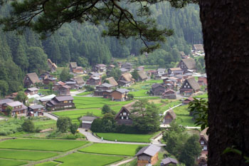 【お盆】夏の世界遺産 白川郷を楽しむ ?