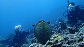 サイパンダイビング