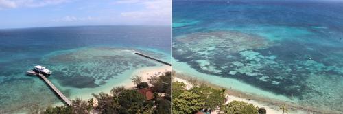 灯台からの景色