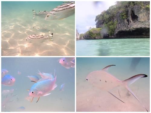 カヌメラビーチ