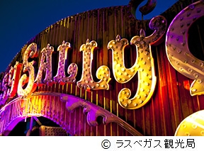 ナイト・ツアー