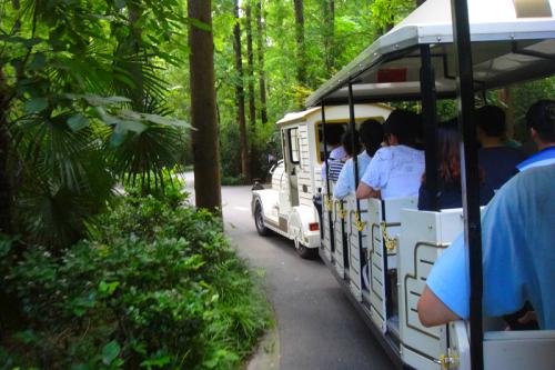 東平森林公園４