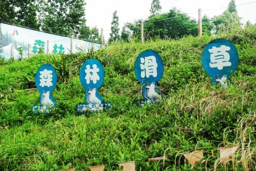 東平森林公園５