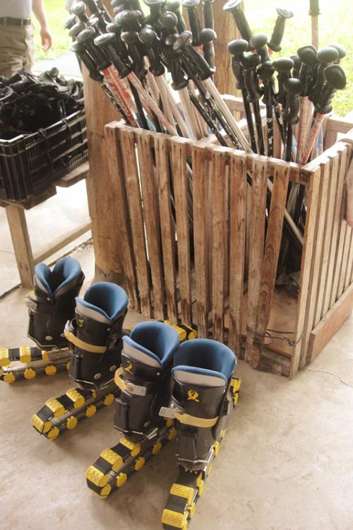 東平森林公園６