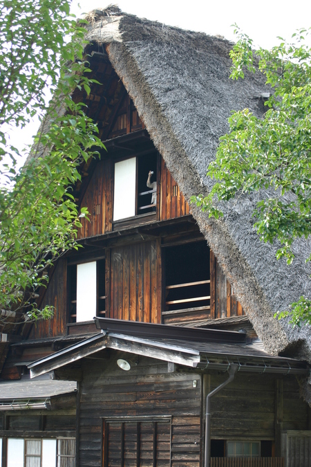 残りの夏を遊びつくし?