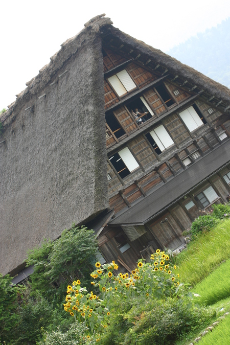 残りの夏を遊びつくし?