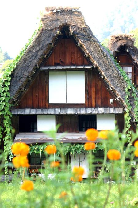 秋の気配感じる９月の連休 ?