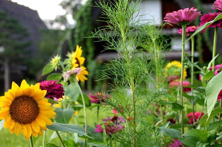 秋の気配感じる９月の連休 ?
