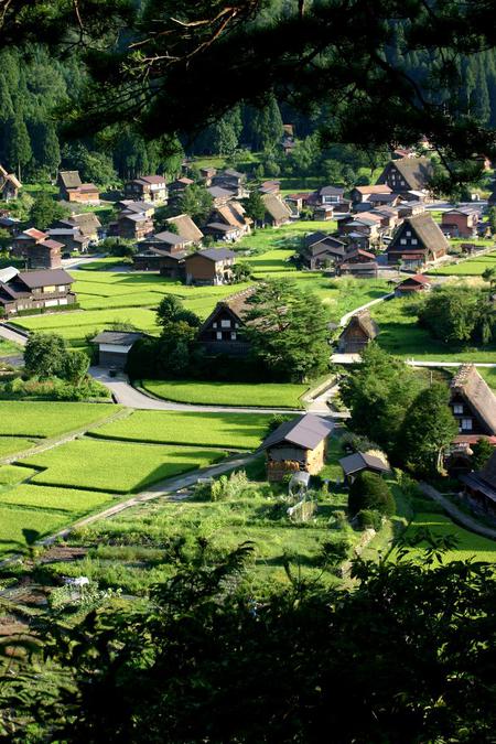 秋の気配感じる９月の連休 ?