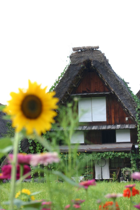 のんびり過す初秋ならではの白川郷 ?