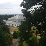 キューガーデン