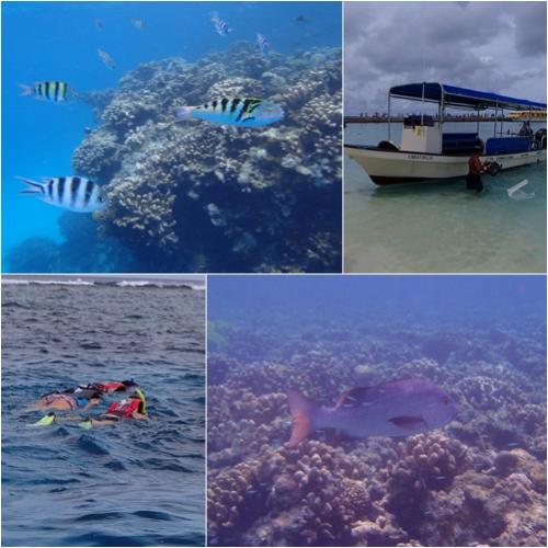 サイパン/マニャガハ島・ボートシュノーケ