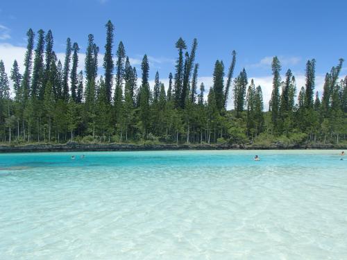 ピッシンヌナチュレル