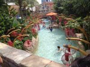 アドベンチャー・コーブ２