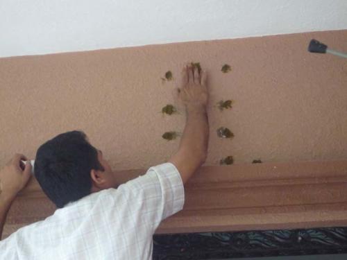 2013年ナーガ・パンチャミ1