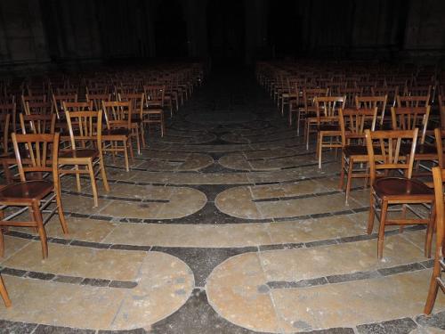 暗闇の中、大迷図が映った