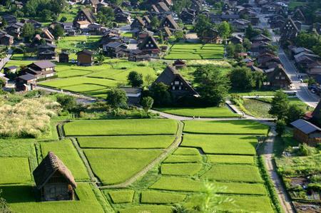 ＼(^o^)／ 暑さも少しずつ和らぎ、?