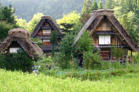 ＼(^o^)／ 暑さも少しずつ和らぎ、?