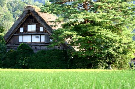 ＼(^o^)／ 暑さも少しずつ和らぎ、?